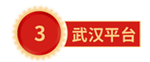 武汉平台.png